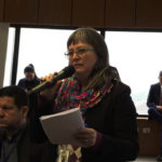 Canese advierte plan de privatización de la ANDE