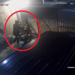 Video: así hurtaron una motocicleta en Sajonia
