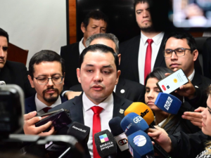 Costanera Norte: Bello quiere retomar subasta de Nenecho en 2026