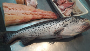 Veda pesquera arranca mañana: ¿a cuánto están rematando los últimos pescados?