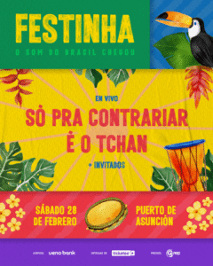 FESTINHA O SOM DE BRASIL CHEGOU