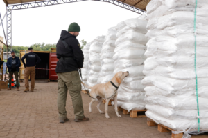 Operación Dulzura: arresto para síndico procesado por supuesto narcotráfico