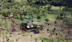 Detectan pista y plantaciones en San Lázaro