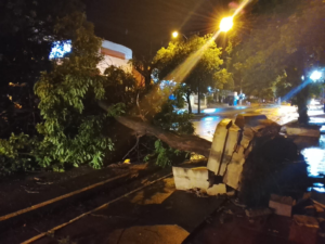 Fuerte temporal en Concepción