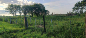 Ediles rechazan la venta de un inmueble municipal por G. 106 millones