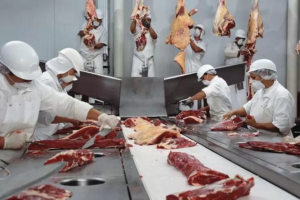 Fuerte caída interanual en la faena bovina: 66.000 cabezas menos en abril
