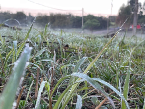 Frío en Paraguay: ¿cuál fue la temperatura más baja registrada este viernes?