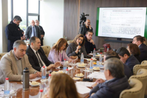 Títulos falsos: Blanca Ovelar pregunta a Bachi si tendrán la fuerza política para llegar a fondo
