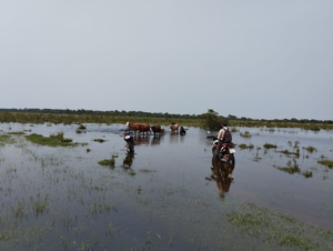 Preocupa al sector ganadero de Yabebyry el impacto que tendría la llegada de El Niño