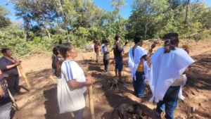 Apyka Rynde’i: conflicto por tierras entre comunidad indígena y un estanciero brasileño en Amambay