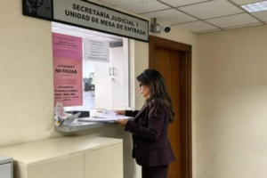 Amparo busca abrir acreditación de intérpretes a la sociedad